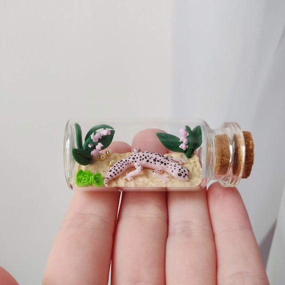 different leopard gecko morphs in glass-bottl...