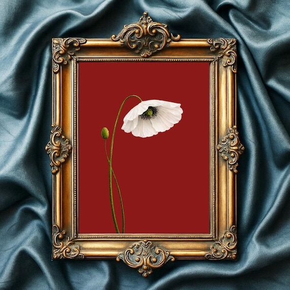 White Poppy Flower Print, Minimalist Botanica...