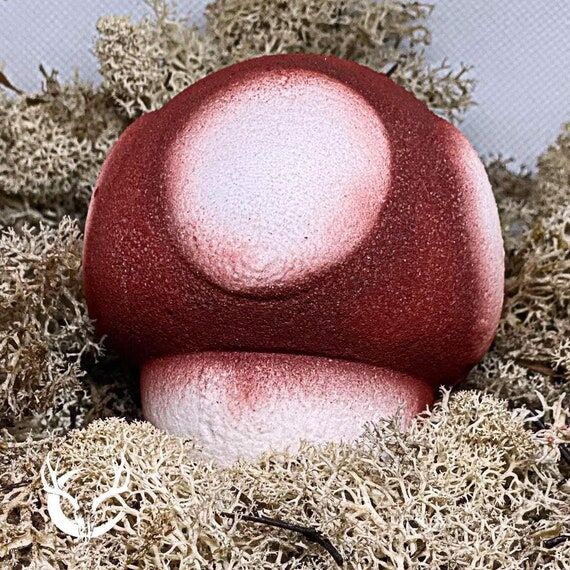 The Claudius Toadstool Bath Bomb: Clary Sage ...