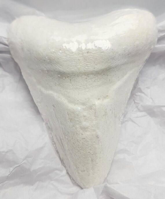 Megalodon Shark Tooth Bath Bomb: Bleeding Hor...