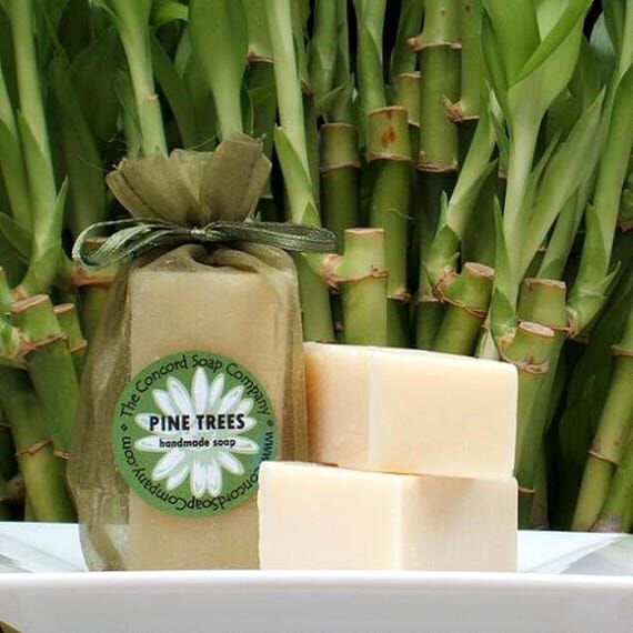 Pine Trees Handmade Cold Process Soap Bar, 4o...