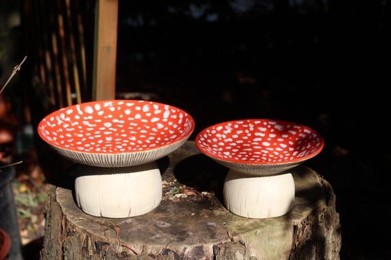 Flat rain catcher mushroom bird bath, unique ...