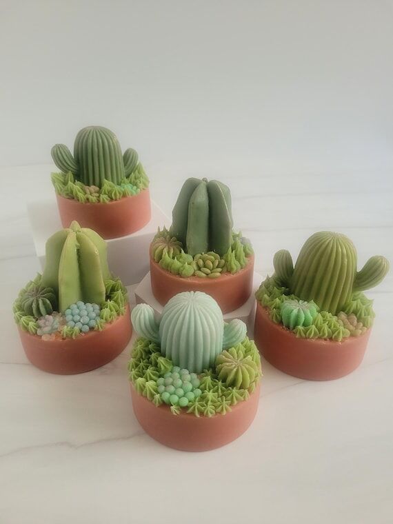 Cactus Soap Bar, Desert Bathroom Decor, Teach...