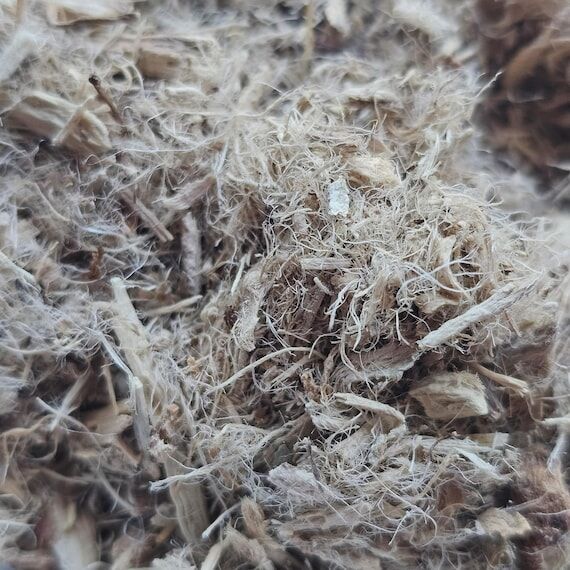 Marshmallow Root | Petals Bath Boutique...