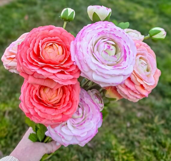 Color Mix Real Touch Ranunculus Stems – 6 s...