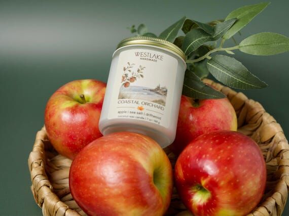 Coastal Orchard Scented Candle | Apple Sea Sa...