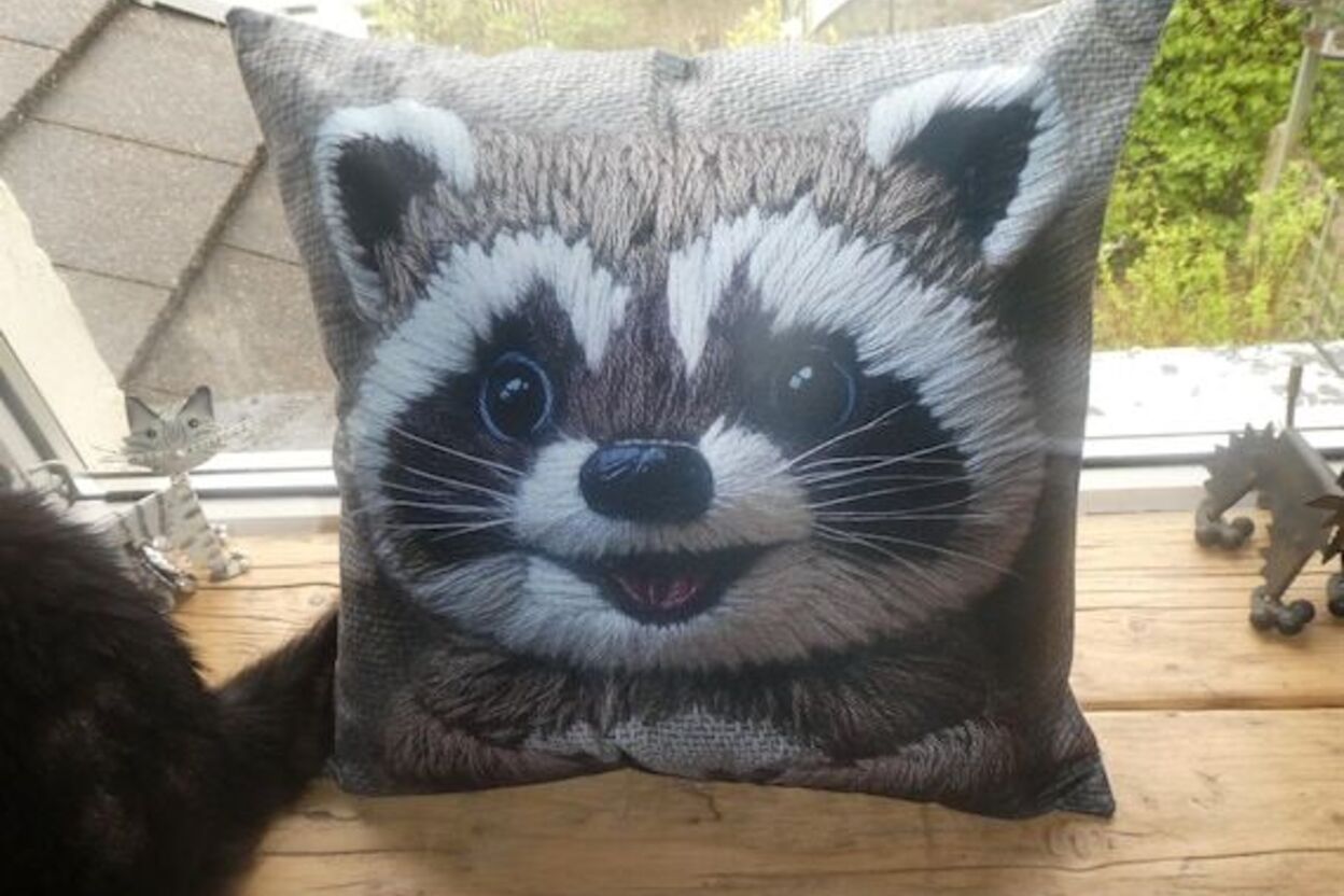 Craftymouseuk