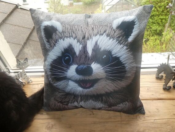 Stunning design Racoon cushion...