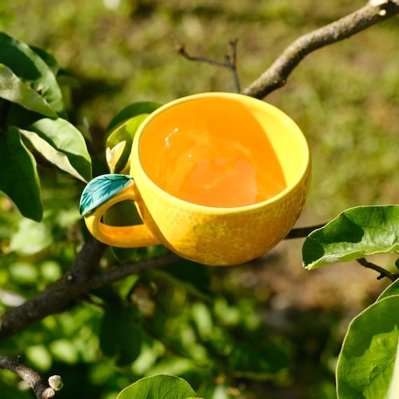 Handcrafted Orange Fruit Mug: Ceramic Mandari...