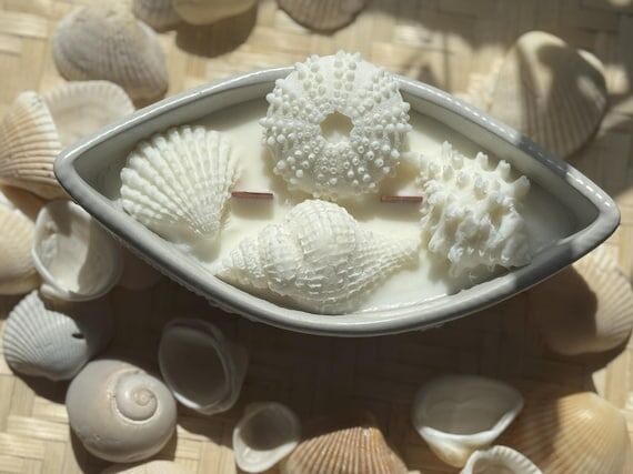 Seashell Cement Boat Candle: Pink Sands Scent...