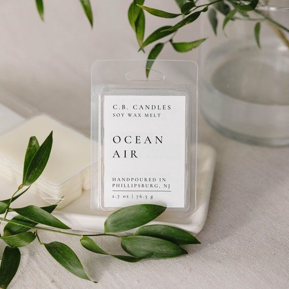 Ocean Air Wax Melt, 100% Soy Wax, Handmade, S...