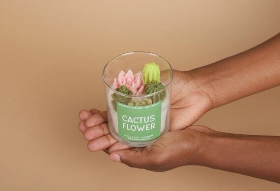 Handmade Terrarium Candle, Succulent Cactus D...