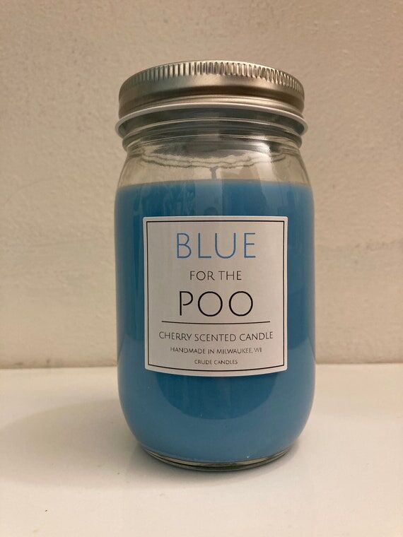 16oz Blue For The Poo Mason Jar. Bathroom Can...