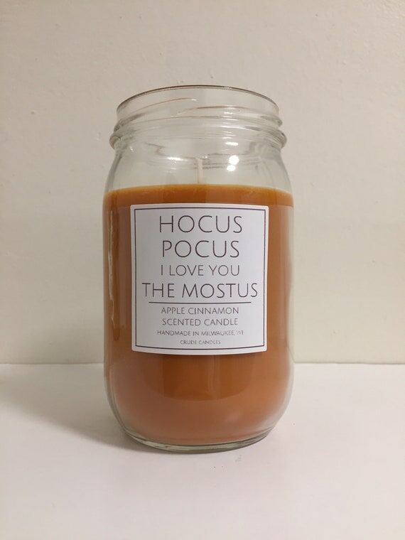 16oz Hocus Pocus I Love You The Mostust Mason...
