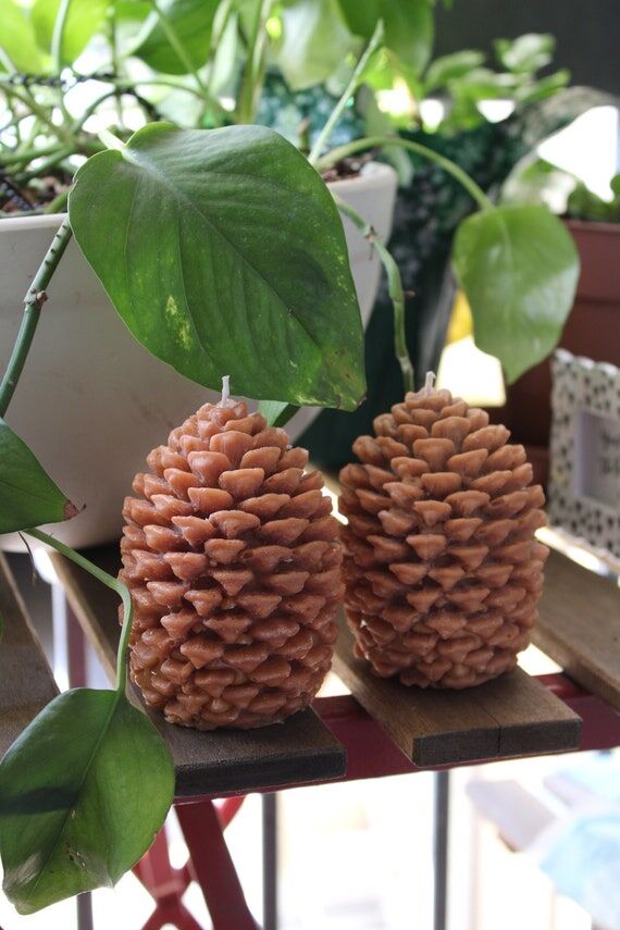 Pinecone Candle | White Christmas Scent, Soy ...