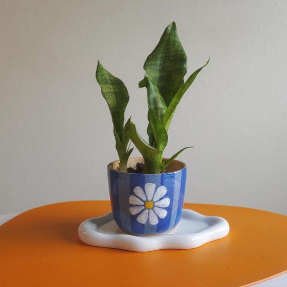 Funky Blue Striped Ceramic Planter with Flowe...