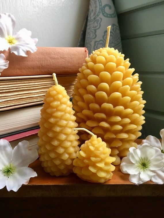 Handmade Pure Beeswax Pinecone Set- 3 Pinecon...