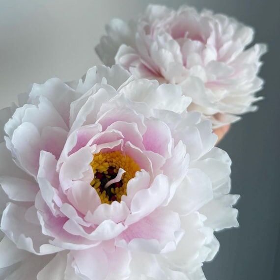 Beeswax Peony Candle / Handmade Flower / Gift...