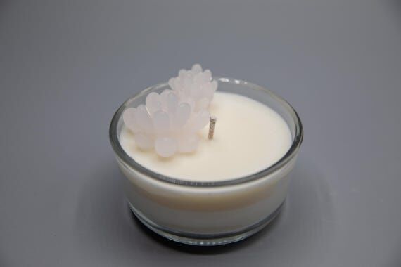 Creme Brulee Scented Succulent Glass Candle...