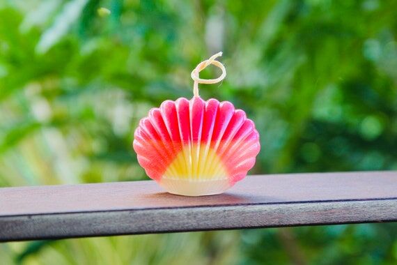 Sunrise Shell Beeswax Candle, Natural Plant D...