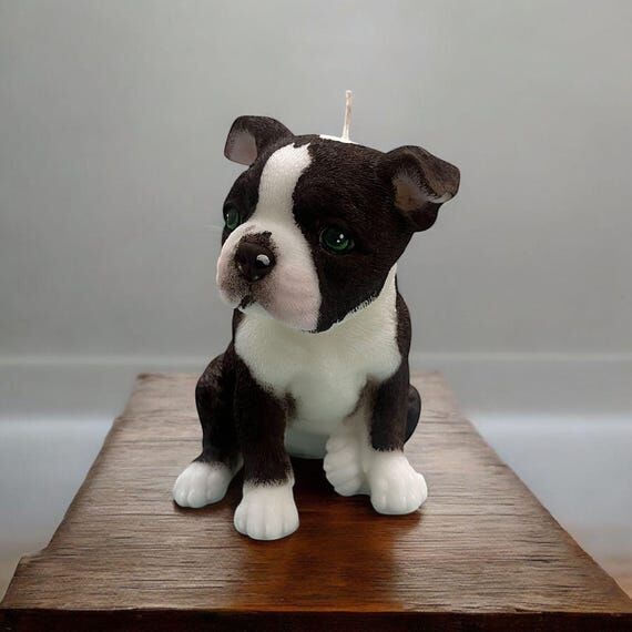 Boston Terrier Dog Candle | Cut Boston Terrie...