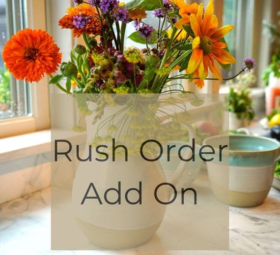 Rush Order Fee for Processing Time — Coasta...