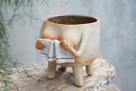 A funny plant pot, underwear , Succulent Pot...