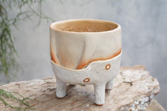 A plant pot with hands in underwear , Succule...
